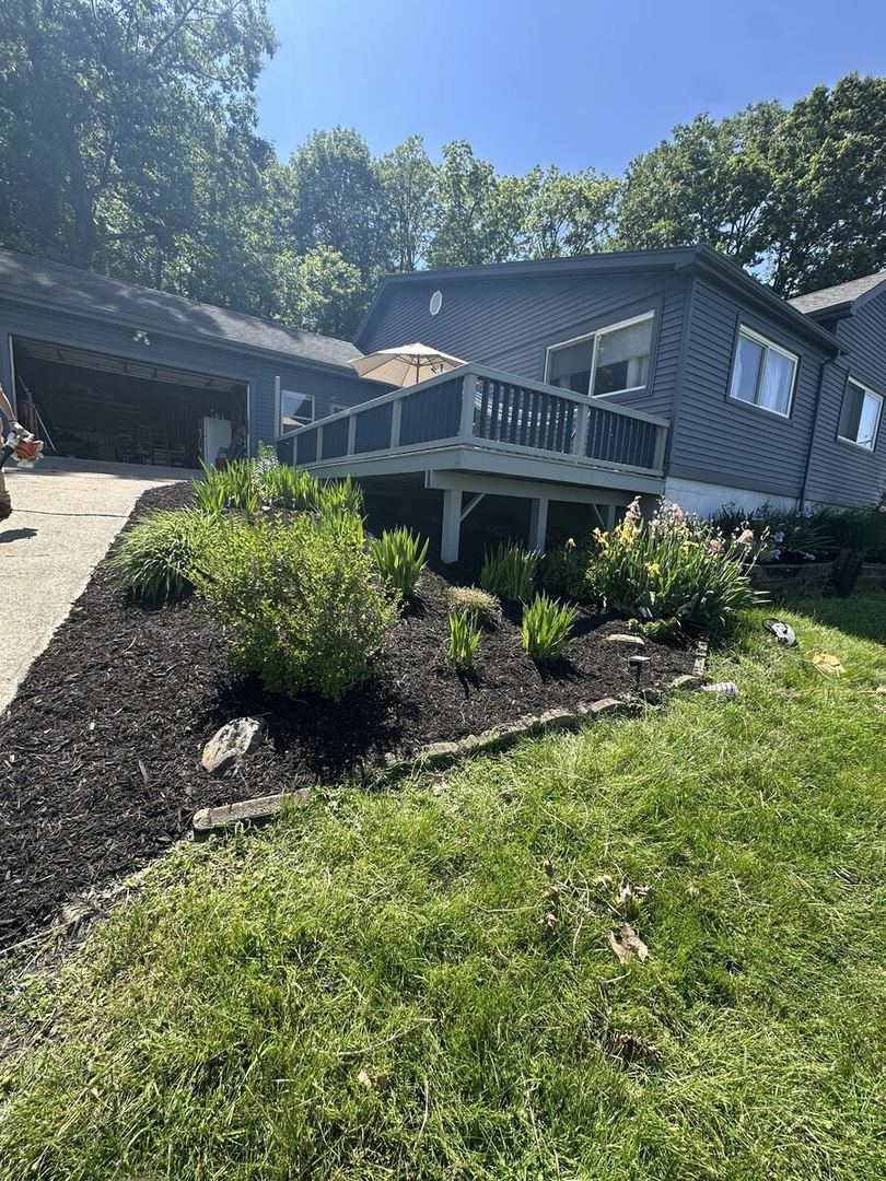 After: same corner bed weeded, edged and covered in fresh black mulch, shrubs kept