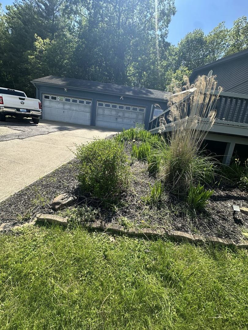 Before: corner bed by the driveway, overgrown with weeds and tall grass around the shrubs