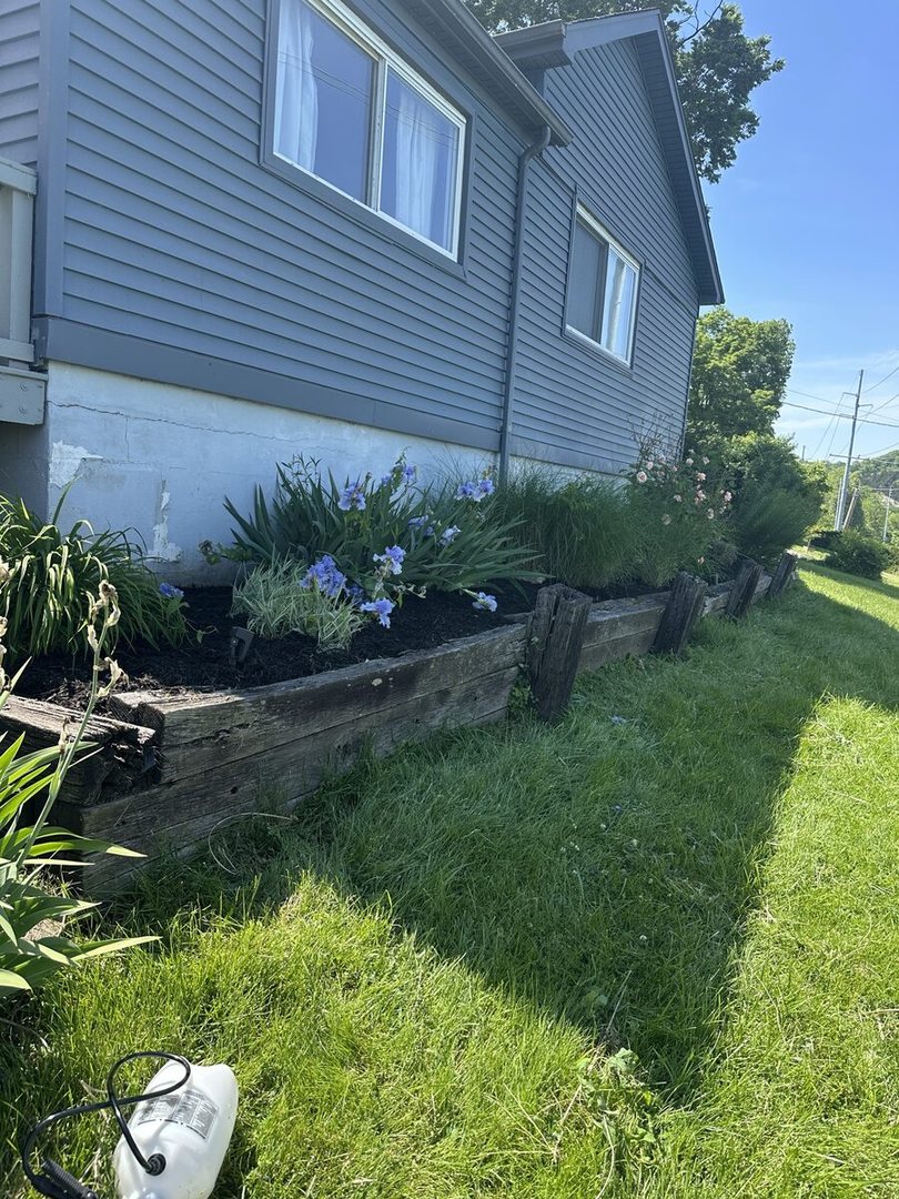 After: same raised bed cleaned out and mulched, with the flowers kept