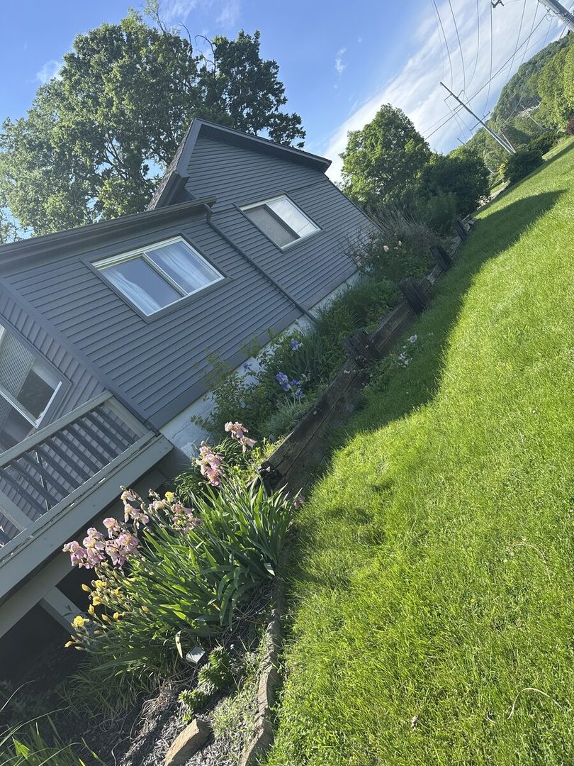 Before: raised bed along the side of a gray house, crowded with weeds and overgrown plants