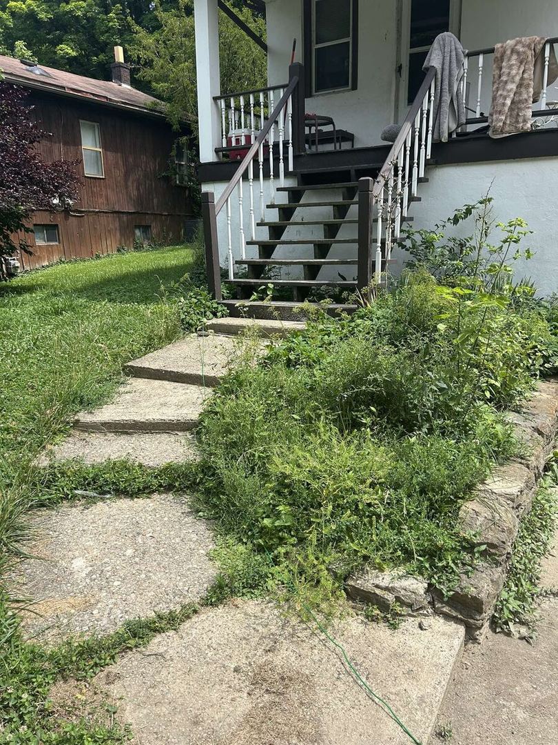Before: stone stepping path to the porch steps, buried in weeds and tall grass